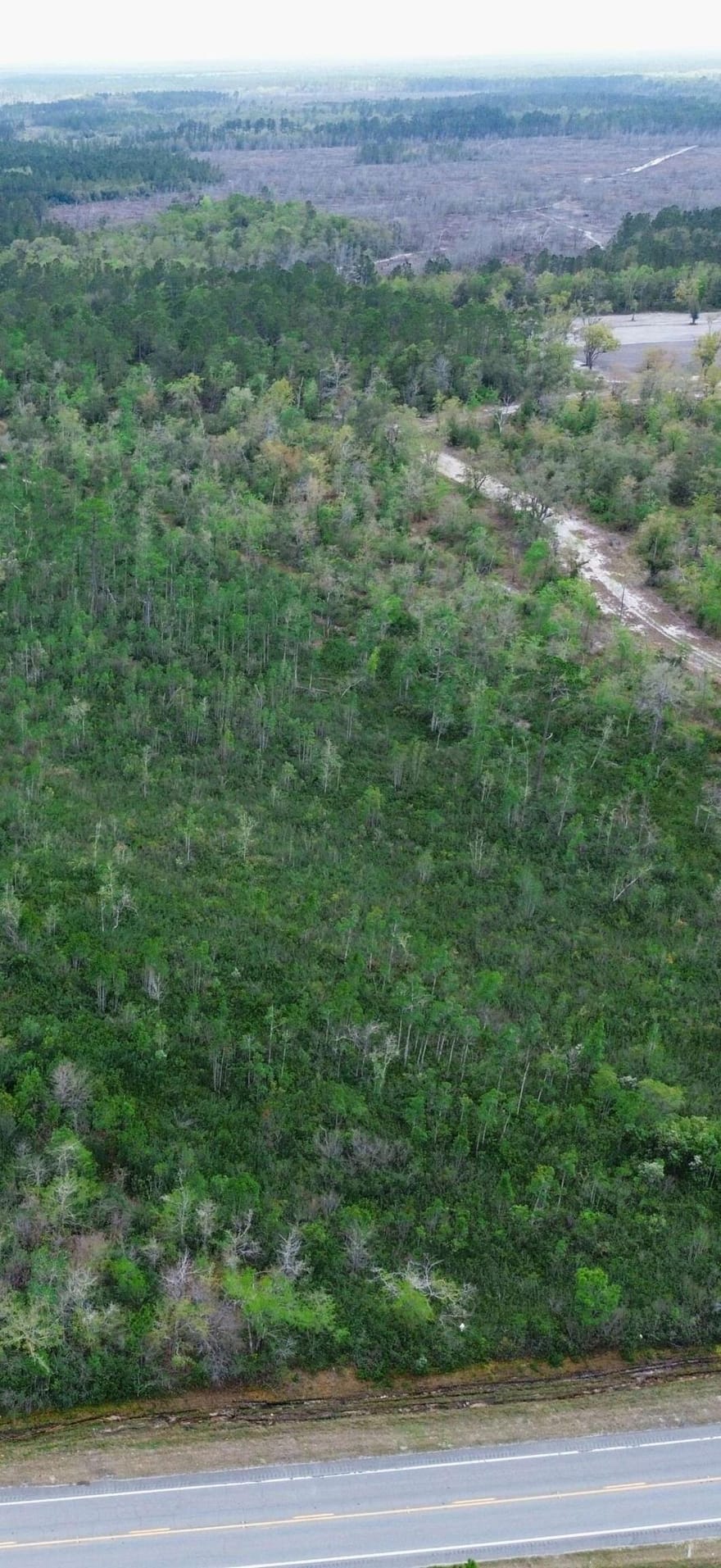 Hwy 204, Ellabell, Georgia