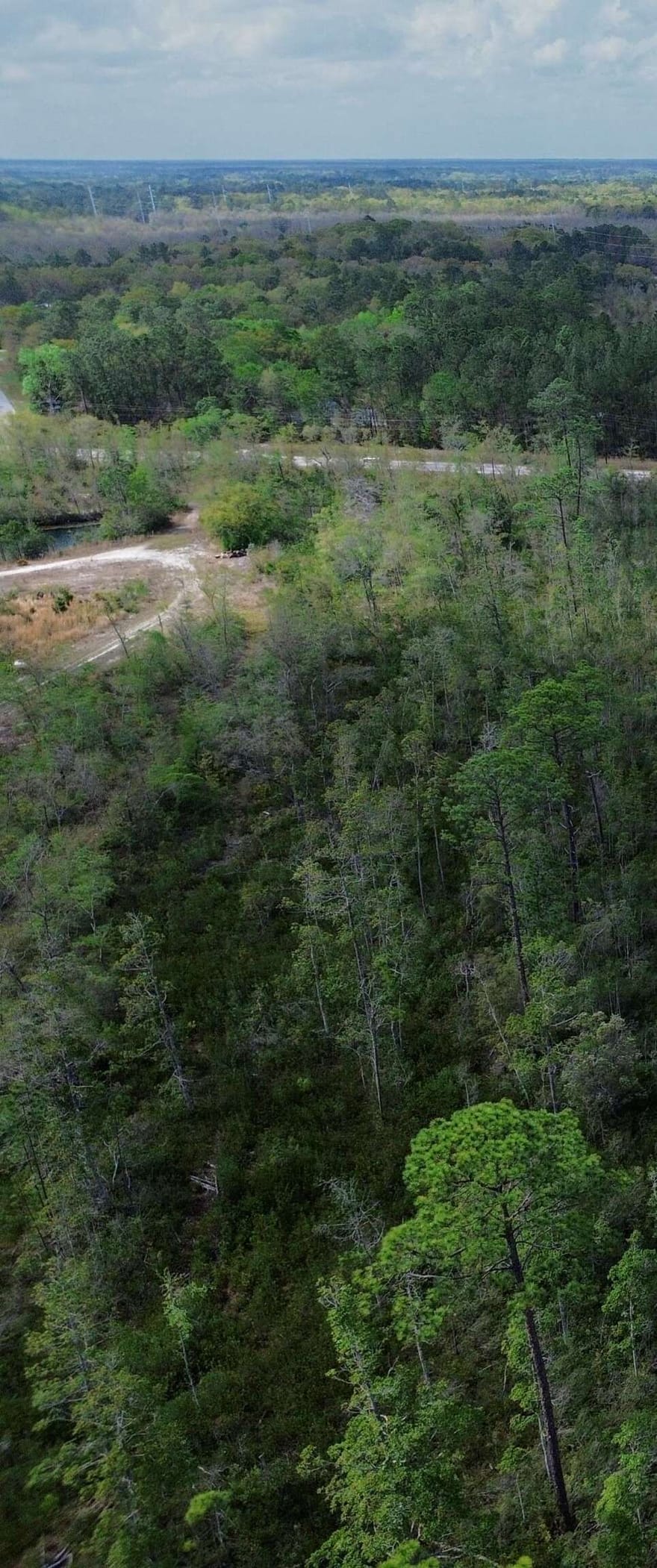 Hwy 204, Ellabell, Georgia