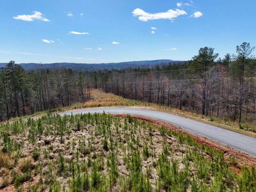 155 Shallow Water Trail, Talking Rock, Georgia