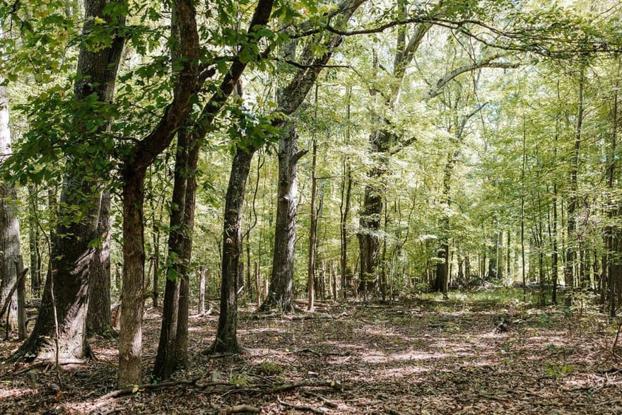 Lundburg Road, Washington, Georgia