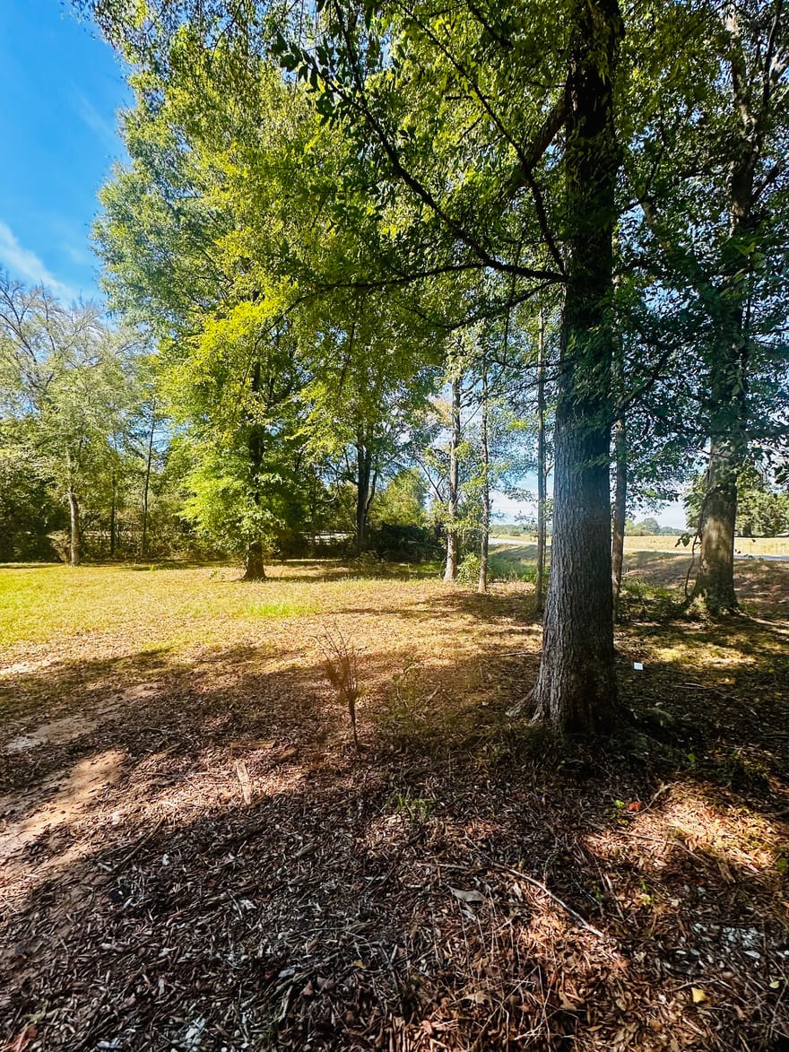 Newnan Road, Brooks, Georgia