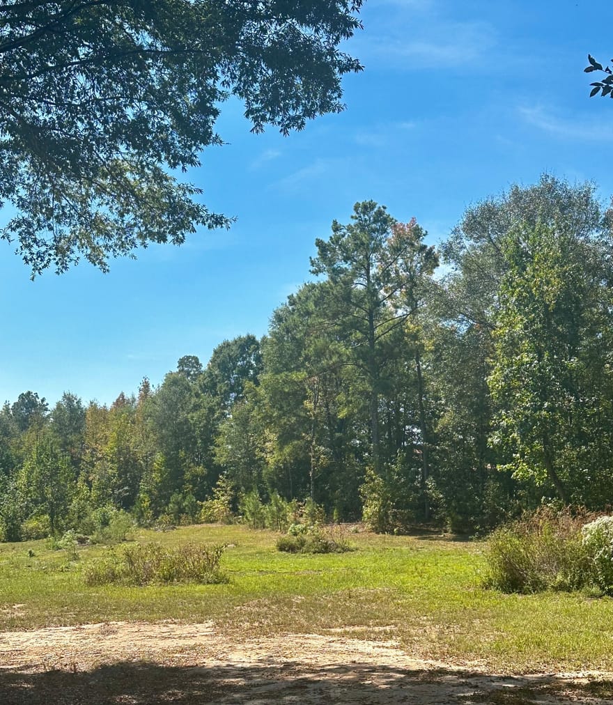 Newnan Road, Brooks, Georgia