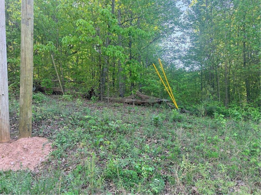 Mountain View Circle, Bremen, Georgia