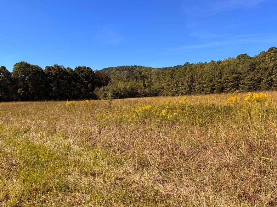 36.55 ACRES Back Valley Road, Lyerly, Georgia