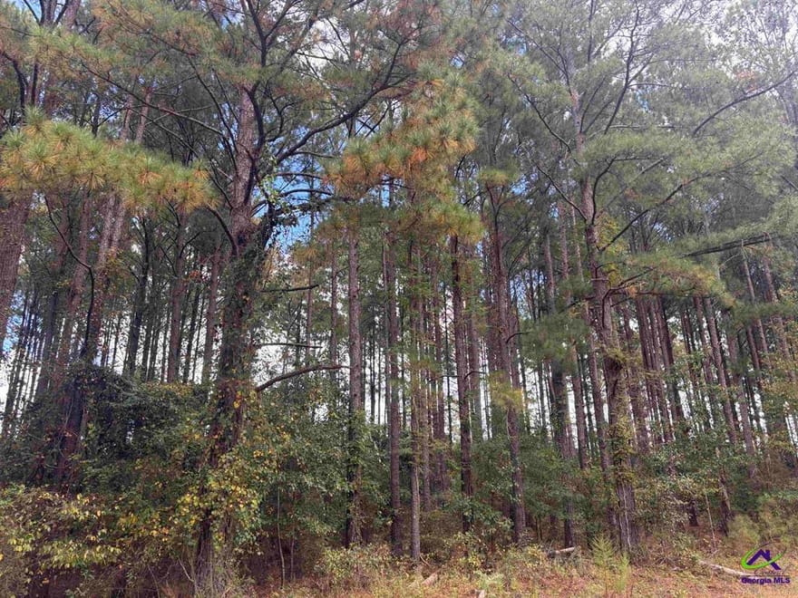 LOT 4 & 5 Limestone Landing, Cochran, Georgia