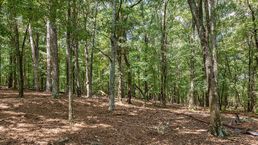Middlebrooks Road, Watkinsville, Georgia