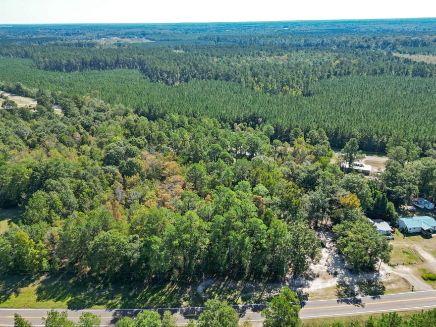 Friendship Road, Sylvania, Georgia