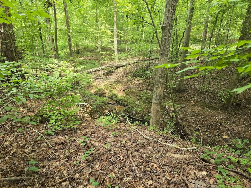 LOT 123 Oconee Drive, Sparta, Georgia