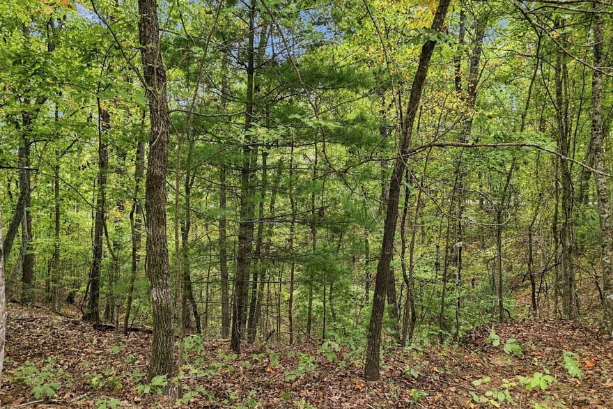 Lakeland Drive, Ellijay, Georgia