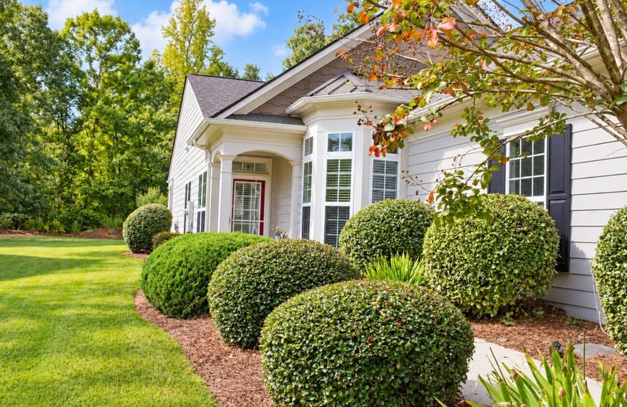 144 Begonia Court, Griffin, Georgia