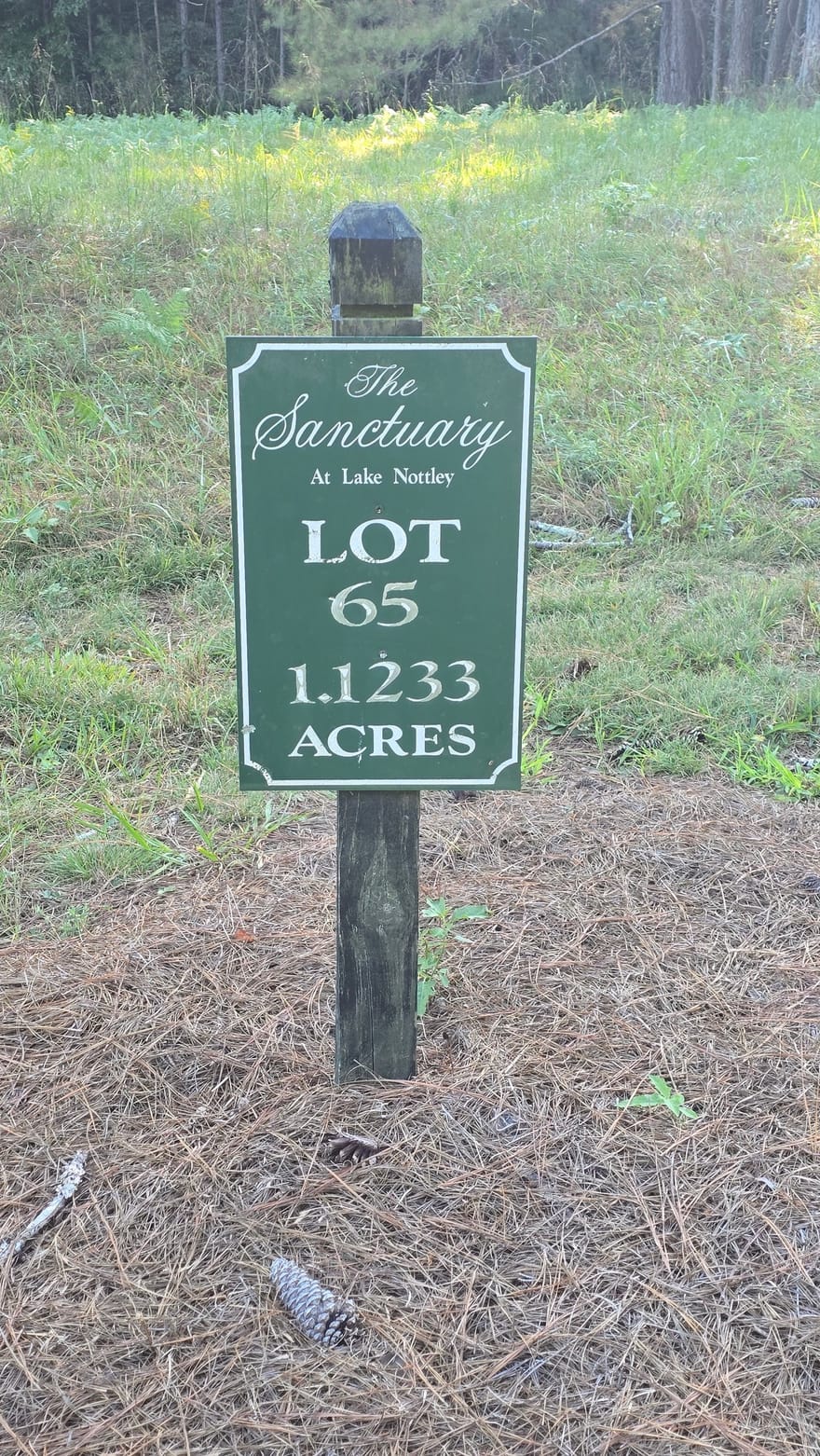 LOT 65 Brook Green Court, Blairsville, Georgia