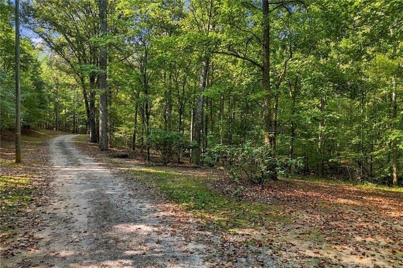 Cumming Highway, Canton, Georgia