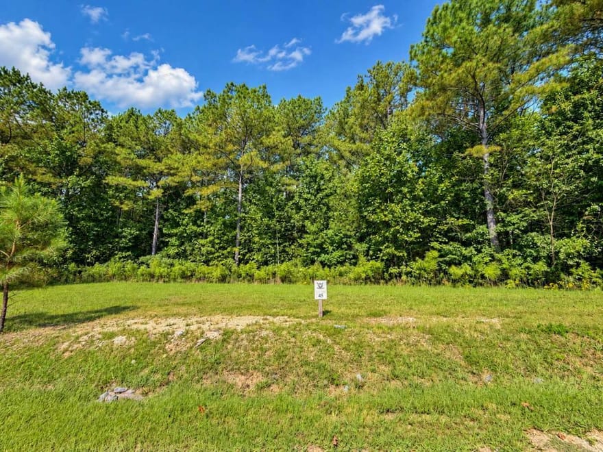 LT 45 Grandview Lane, Ellijay, Georgia