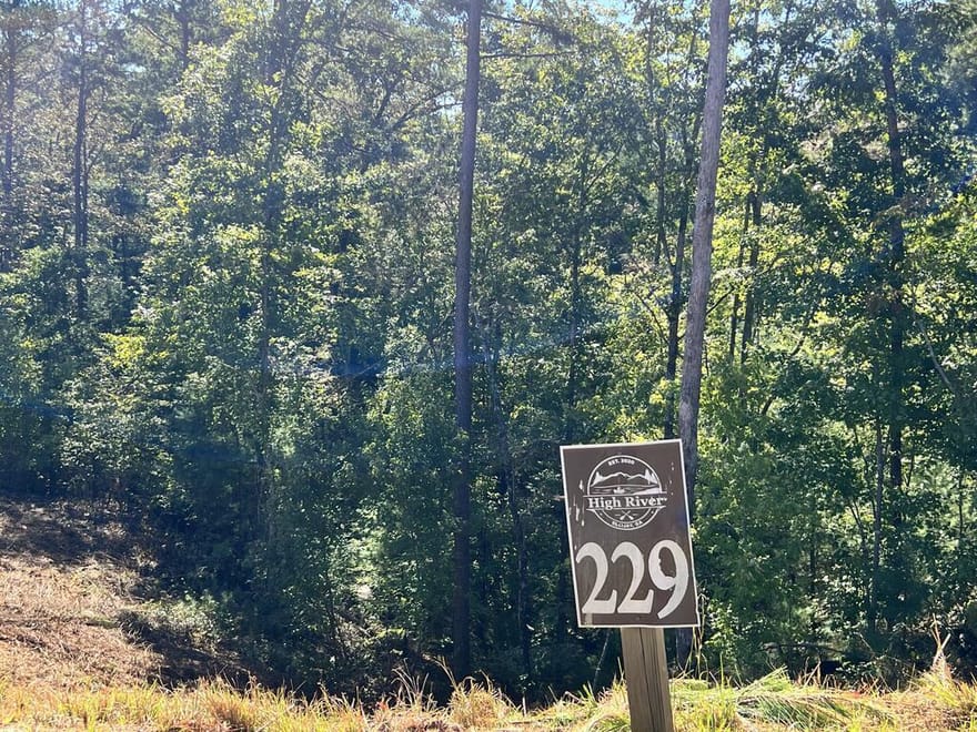 LT 229 Woodstone Trail, Ellijay, Georgia