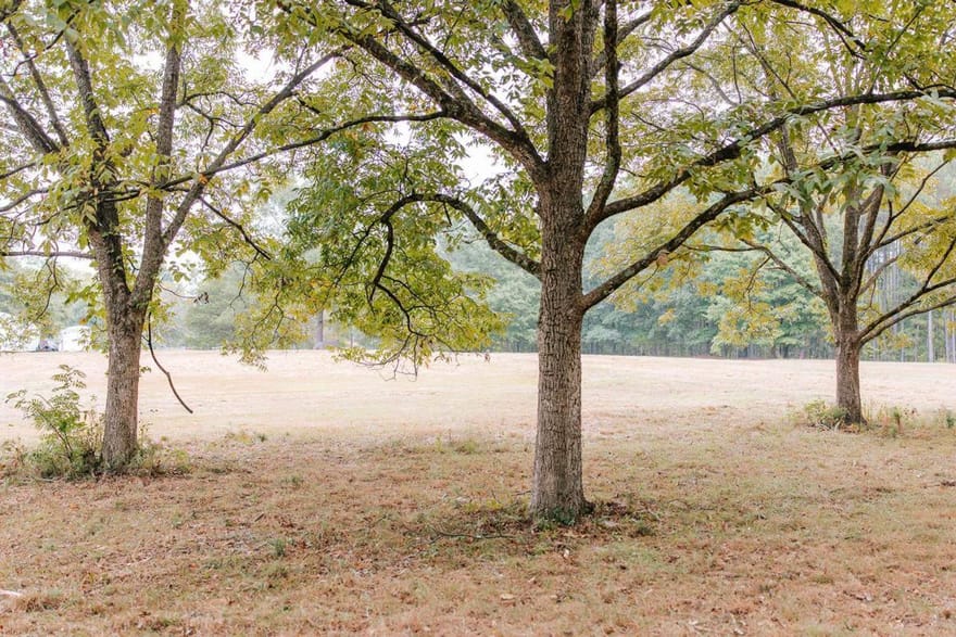 1911 Hog Mountain Road, Watkinsville, Georgia
