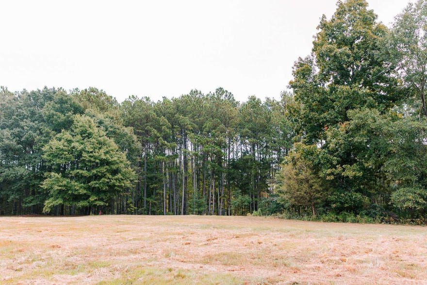 1911 Hog Mountain Road, Watkinsville, Georgia
