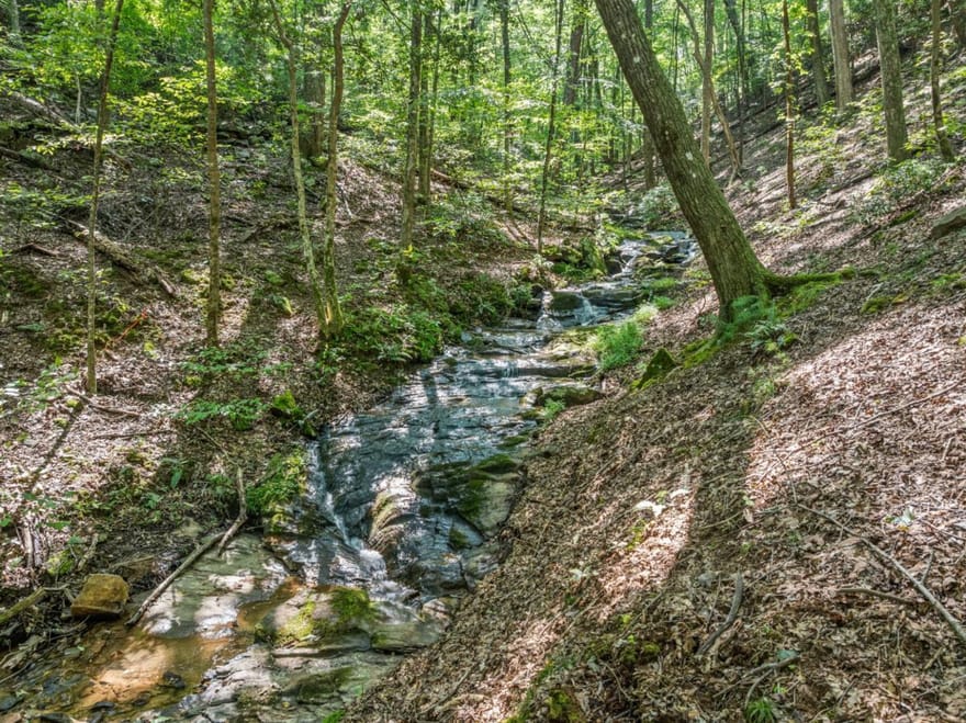166 Walnut Mountain Court, Ellijay, Georgia
