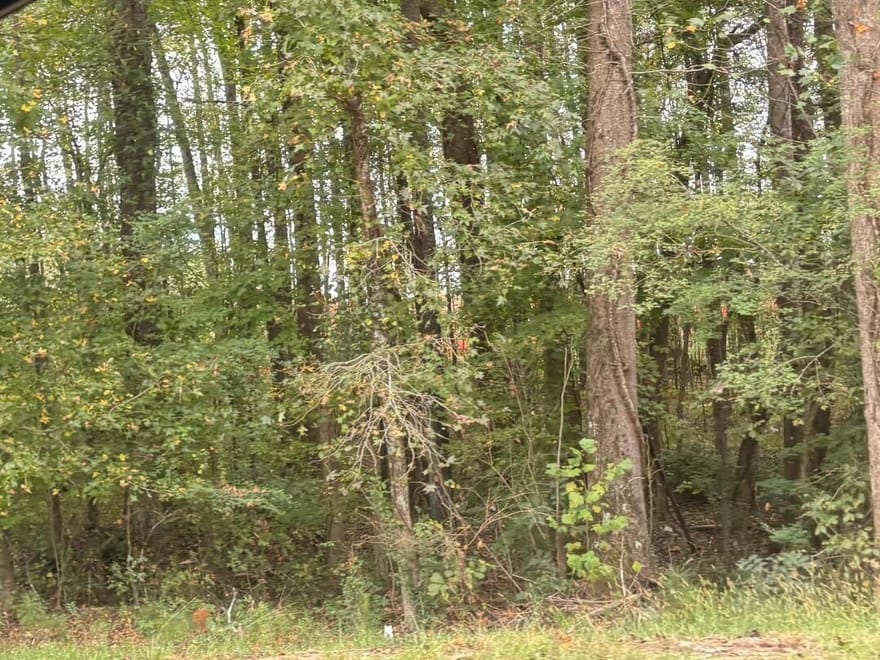 1945 Winder Highway, Dacula, Georgia