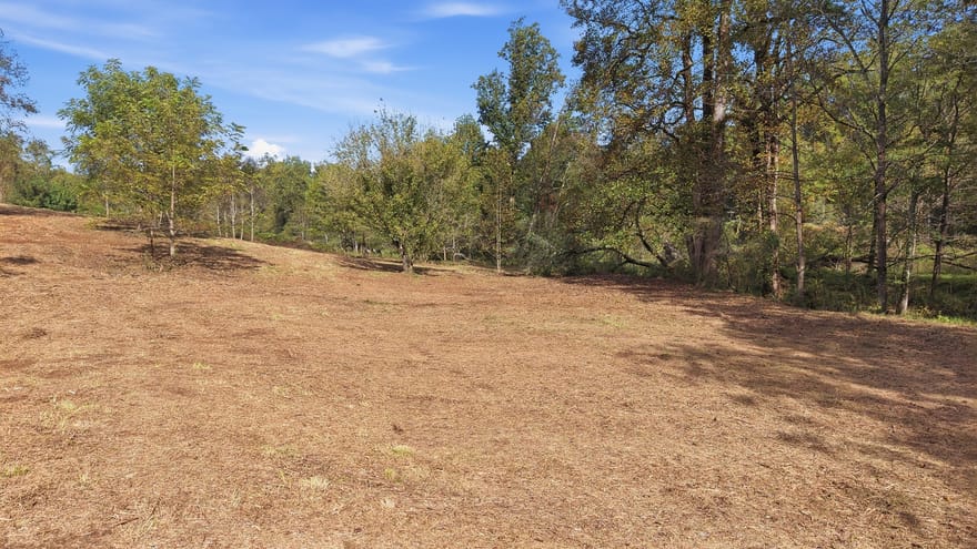 Gladston Drive, Mount Airy, Georgia