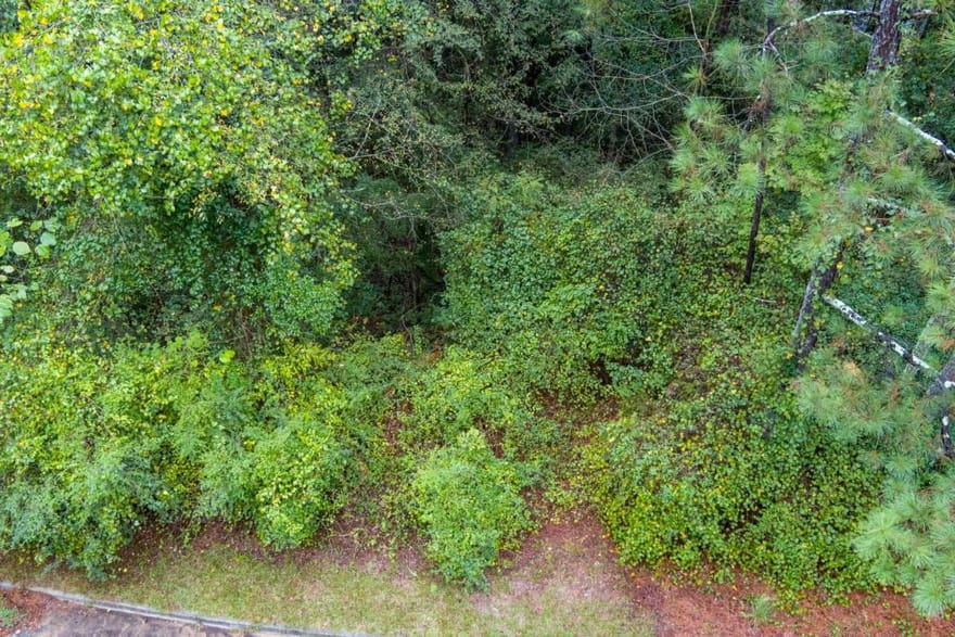2251 Sumner Court NE, Conyers, Georgia