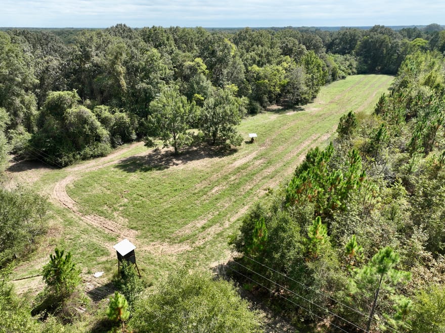 Abbeville Highway, Pineview, Georgia