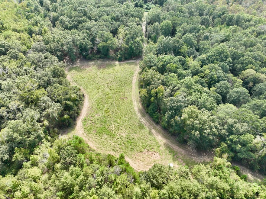 Abbeville Highway, Pineview, Georgia