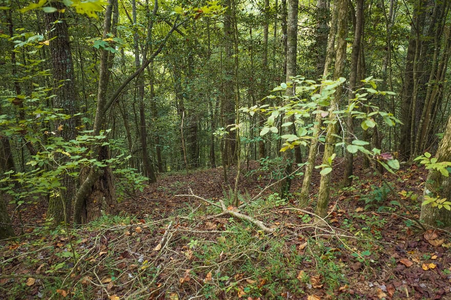 LT14-17 Conasauga Drive, Ellijay, Georgia