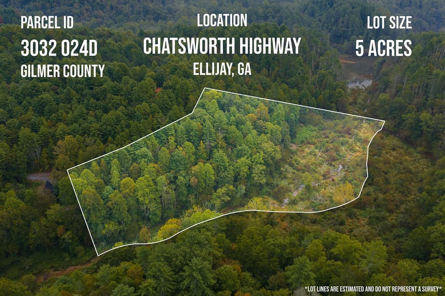 LT14-17 Conasauga Drive, Ellijay, Georgia