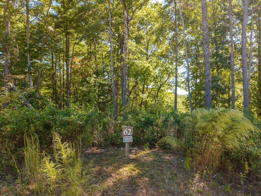 LOT 62 Ridge Drive, Blue Ridge, Georgia