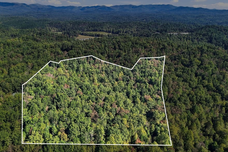 108 Charlottes Web Lane, Ellijay, Georgia