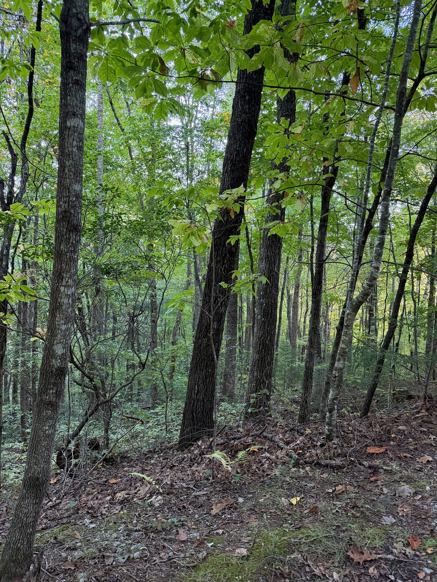 Round Top, Clayton, Georgia
