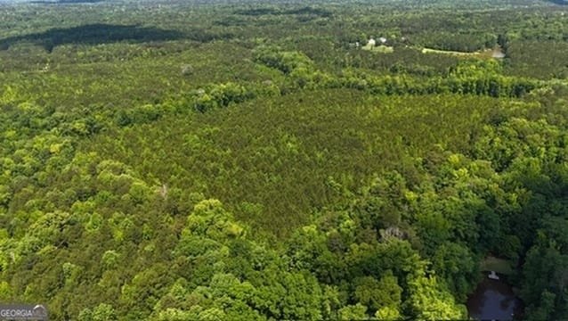 Maria Lane, Ellerslie, Georgia