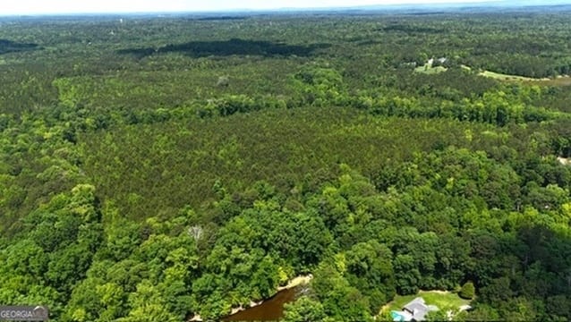 Maria Lane, Ellerslie, Georgia
