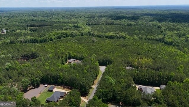 Maria Lane, Ellerslie, Georgia