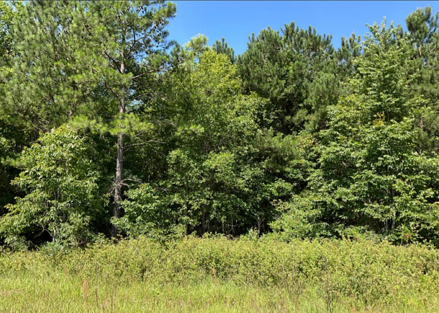 High Crest Lane, Hawkinsville, Georgia