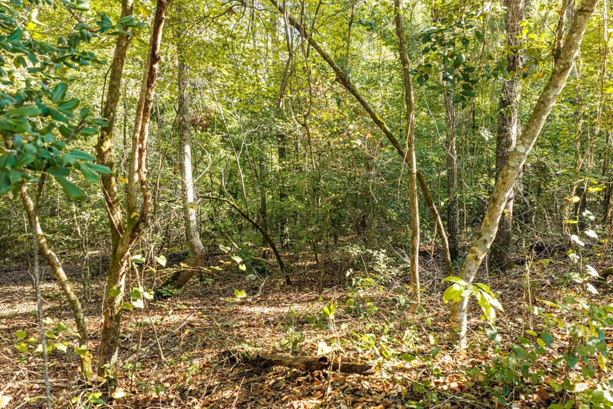 Corley Road, Hephzibah, Georgia