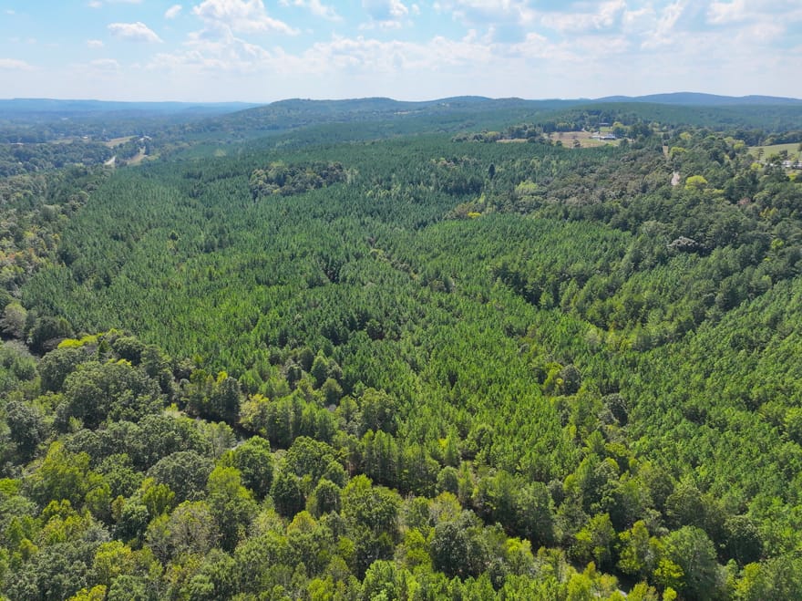 488 +/- Acres On Hall Station Road, Adairsville, Georgia