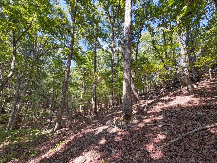 488 +/- Acres On Hall Station Road, Adairsville, Georgia