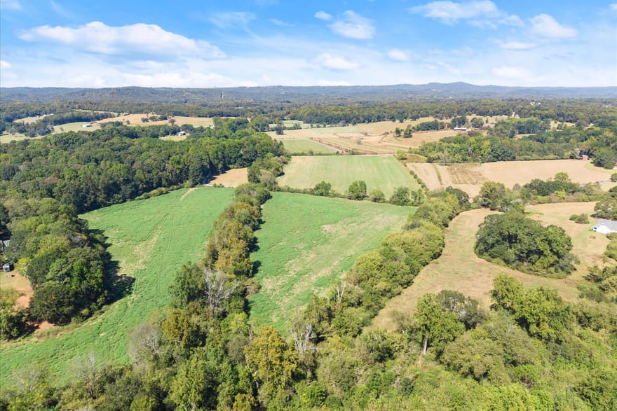 Moss Farm, Alto, Georgia