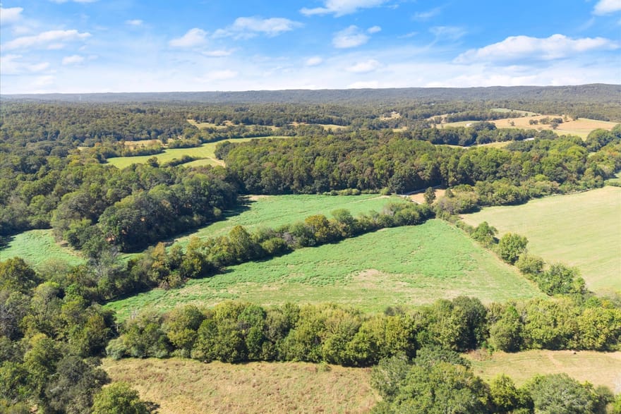 Moss Farm, Alto, Georgia