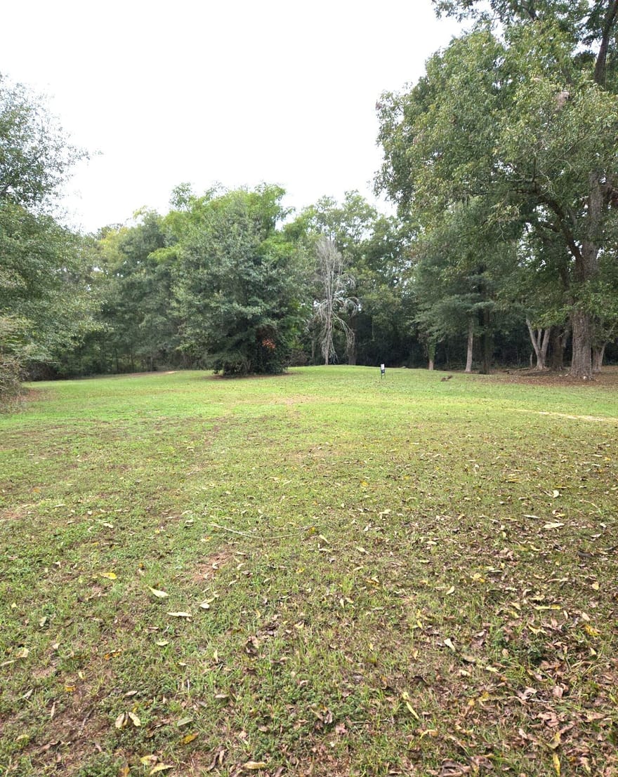 319 Powell Drive, Jackson, Georgia