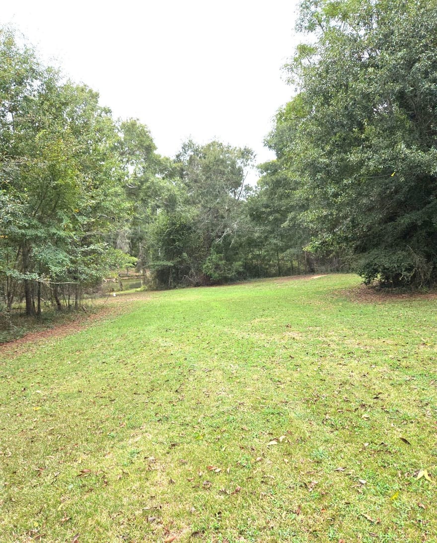 319 Powell Drive, Jackson, Georgia