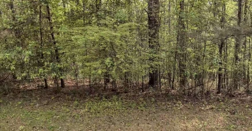 4706 Amber Falls, Mcdonough, Georgia