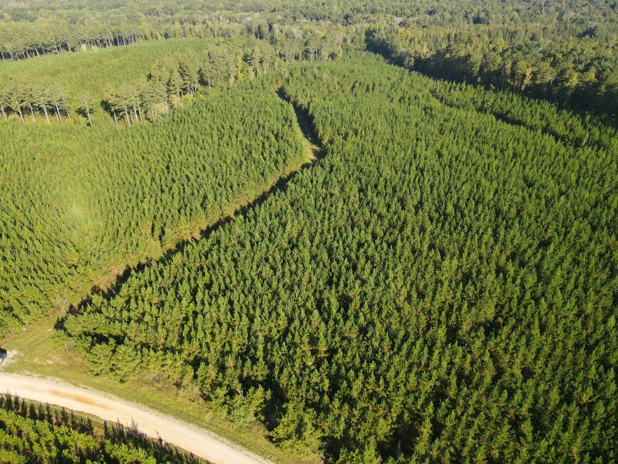 Kilpatrick Road, Eatonton, Georgia