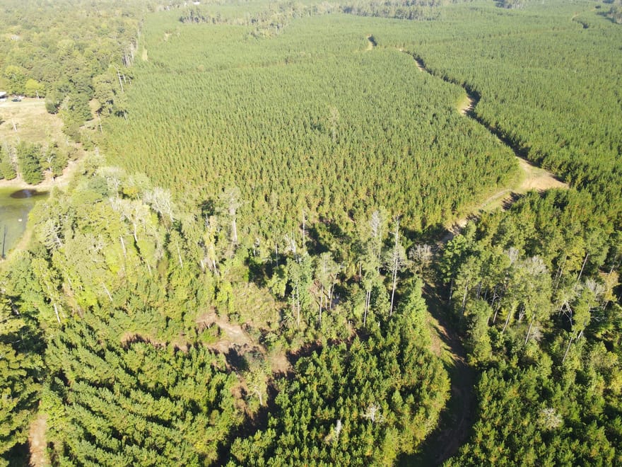 Kilpatrick Road, Eatonton, Georgia