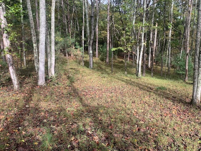 LOT 132 Fox Cove Road, Blairsville, Georgia