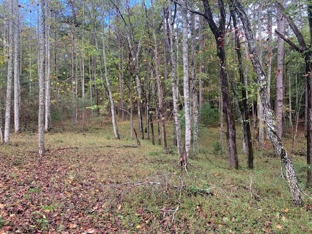 LOT 132 Fox Cove Road, Blairsville, Georgia