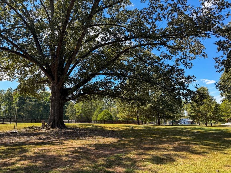 Adolphus Callaway Road, Rayle, Georgia