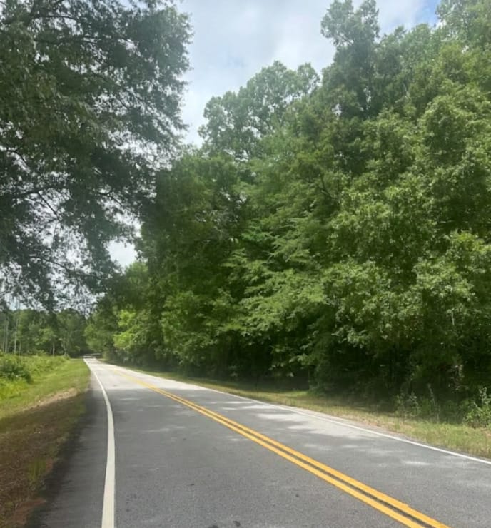 LOT 1 (40+/- AC Line Creek Road, Senoia, Georgia