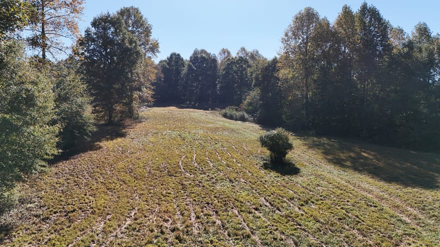 Town Creek Road, Cleveland, Georgia